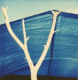 Zelten am See 00 by Frank Madler contemporary artwork photography