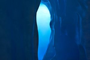 Thomas Wrede