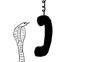 David Shrigley