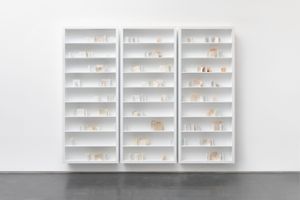 Edmund De Waal