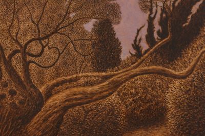 Johanna Peglers Spirited Depictions of Nature in Auckland