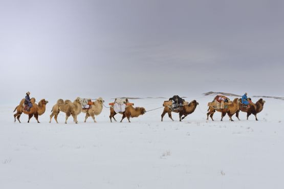 The journey back to nature Back to Nature Mongolia by Marc Progin contemporary artwork Photography