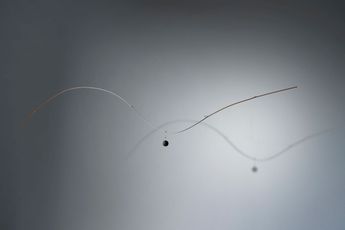 Laurent Martin Lo contemporary artist