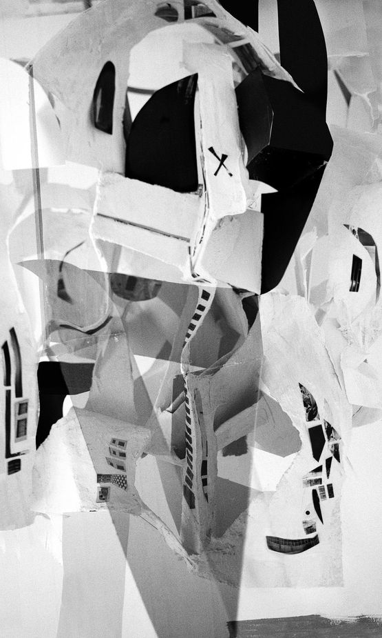 Animism by Yamini Nayar contemporary artwork Photography