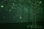 Every word I tell you keeps me alive by Gabriela Vanga contemporary artwork Installation
