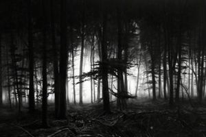 Robert Longo