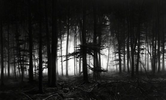 Forest of Doxa by Robert Longo contemporary artwork Print