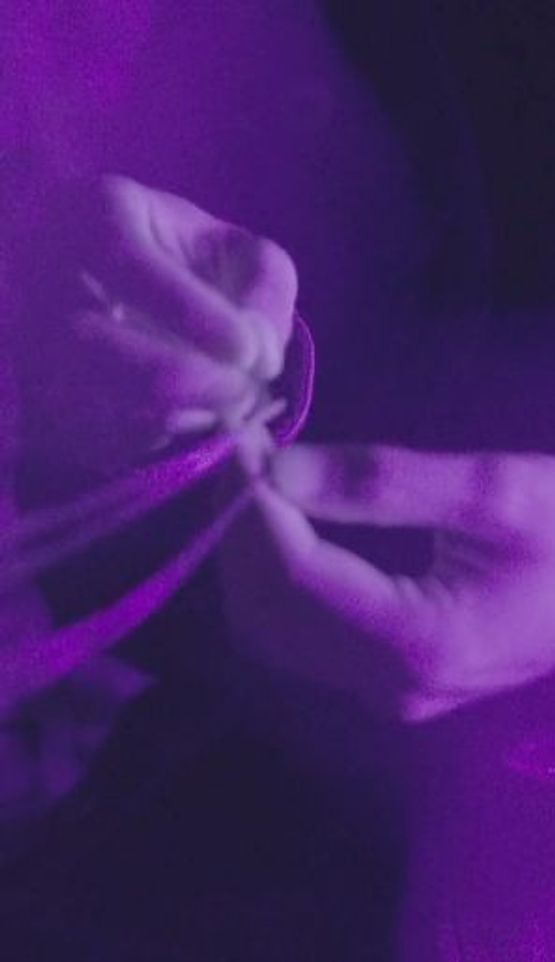 the moth and the light shunner portrait I by Han Zishi contemporary artwork Moving Image