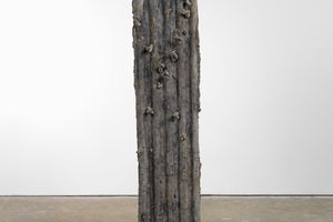 Michael Dean