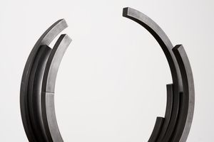 Bernar Venet