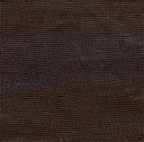 Untitled by Mantua Nangala contemporary artwork painting