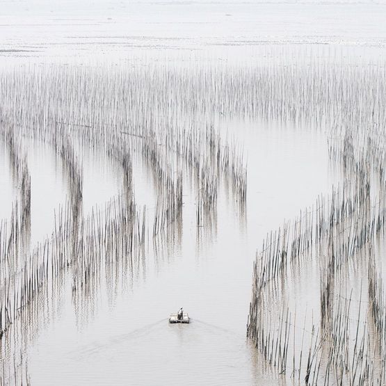 Morning Meander by Stephen King contemporary artwork Photography