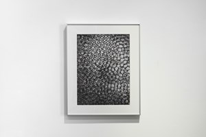 Feng Chen