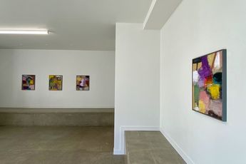 Contemporary art exhibition Robin Neate Recent Paintings at Hamish McKay Wellington New Zealand