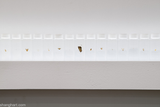 Artists Studio 14th December 2014 by Robert Zhao Renhui contemporary artwork installation