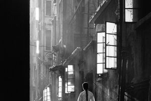 Fan Ho