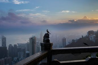 Contemporary art exhibition Group Exhibition Hong Kong Poetry Hong Kongs soul in focus. at Blue Lotus Gallery Hong Kong
