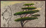 Portrait of Italy Through Its Trees Painting on Map XXI by Julian Schnabel contemporary artwork Works on Paper