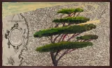 Portrait of Italy Through Its Trees Painting on Map XXI by Julian Schnabel contemporary artwork print works on paper