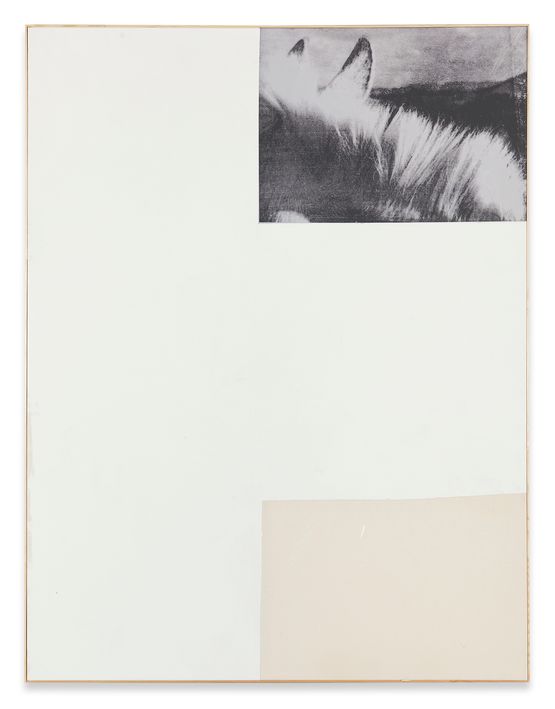 White Paintings III by Walter Dahn contemporary artwork Painting