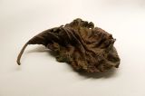 Topographic Fragment II by Samim Alam Beg contemporary artwork sculpture
