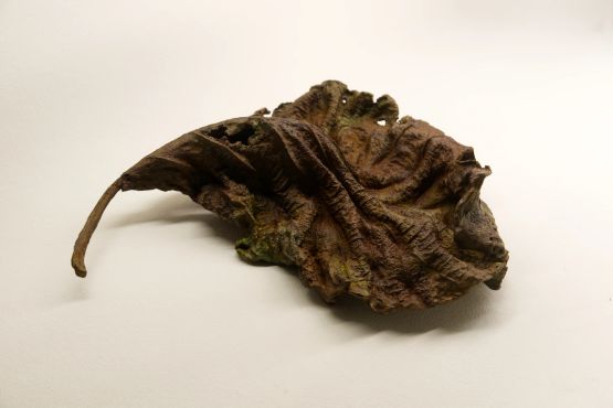 Topographic Fragment II by Samim Alam Beg contemporary artwork Sculpture