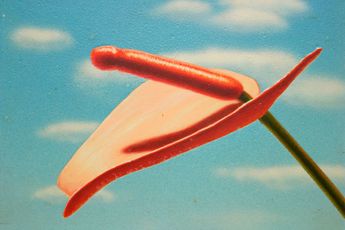 Hilo Chen contemporary artist
