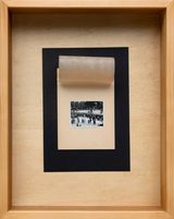 From the series Old news Elephants by Larry Munoz contemporary artwork photography works on paper