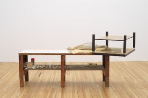Liz Magor
