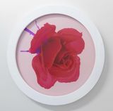 Red glass rose apricot by Hye Rim Lee contemporary artwork print