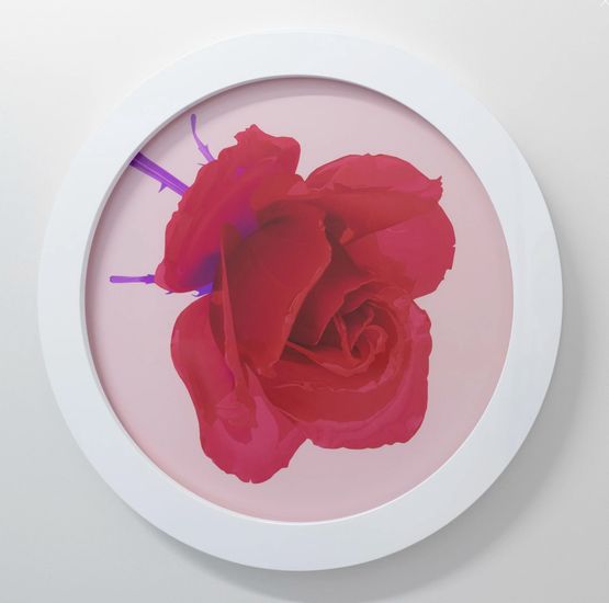 Red glass rose apricot by Hye Rim Lee contemporary artwork Print