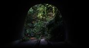 The Mountain that Hid by Sim Chi Yin contemporary artwork Moving Image