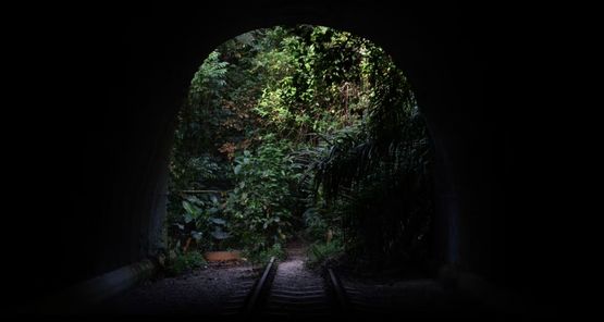 The Mountain that Hid by Sim Chi Yin contemporary artwork Moving Image