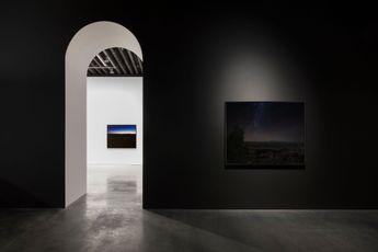 Contemporary art exhibition An-My Le Dark StarGrey Wolf at Marian Goodman Gallery New York United States