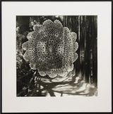 The Sanctuary Los Angeles Fort by Gavin Hipkins contemporary artwork photography