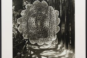 Gavin Hipkins