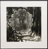 The Sanctuary Los Angeles Fort by Gavin Hipkins contemporary artwork Photography