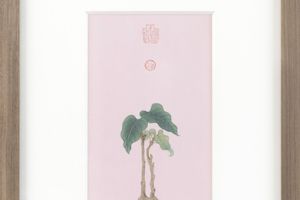 Cheuk Ka-Wai Cherie