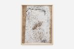 Jarbas Lopes contemporary artist