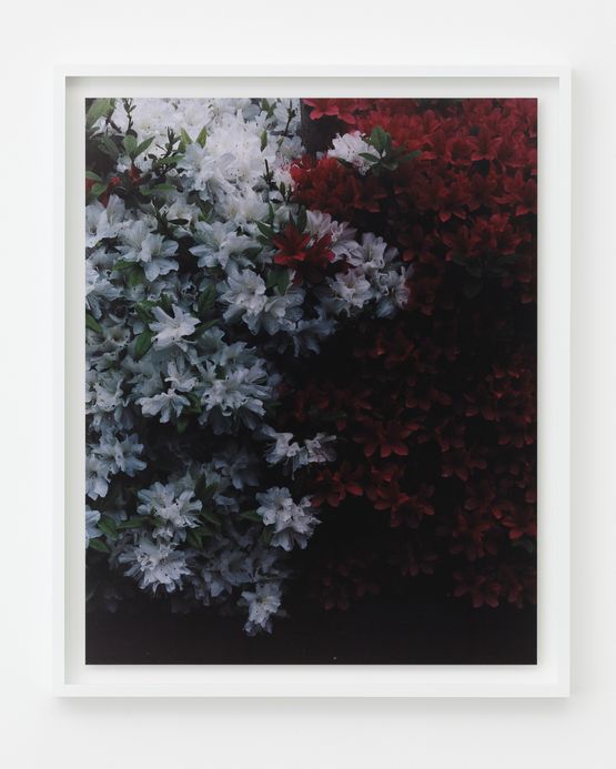 Meguro Tokyo by Chikashi Suzuki contemporary artwork Photography
