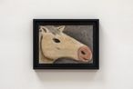 Portrait of a gold horse by Andrew Sim contemporary artwork Painting