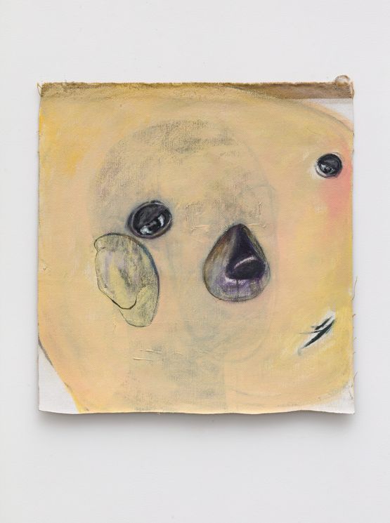 Alienated Facial Features on an Infinitely Swollen Face by Yang Jian contemporary artwork Painting