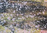 Mimosen by Adrian Schiess contemporary artwork painting
