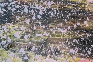 Adrian Schiess