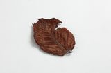Dead Leaves Mr. Ns Former Factory1 by Aoyama Satoru contemporary artwork textile