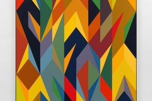 Odili Donald Odita