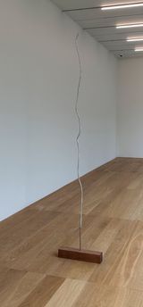 Back 78 by Inbai Kim contemporary artwork sculpture