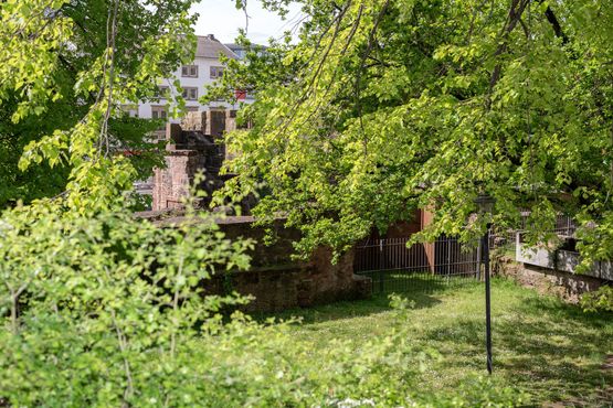 Ansichten von K. 01 Burgstrae by Elisabeth Neudorfl contemporary artwork Photography