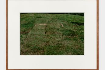 Ana Mendieta contemporary artist