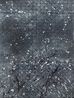 Glazing of Moonlight by Bao Pei contemporary artwork Works on Paper
